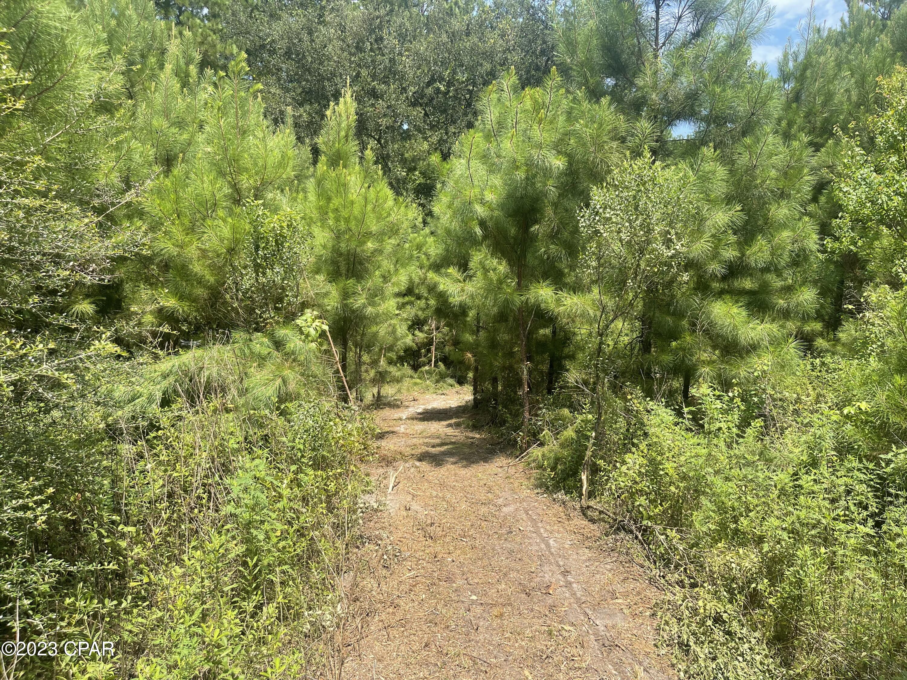 3016 Culpepper Lane Vernon, FL 32462 - Photo 9 of 30