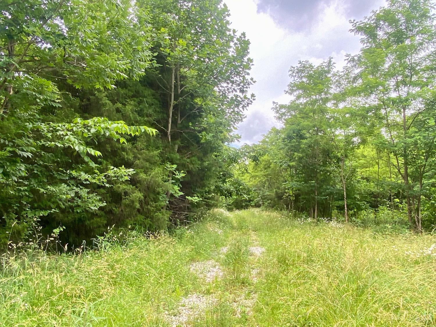 400 Lynn Morgan Road Seaman, OH 45679 - Photo 6 of 24