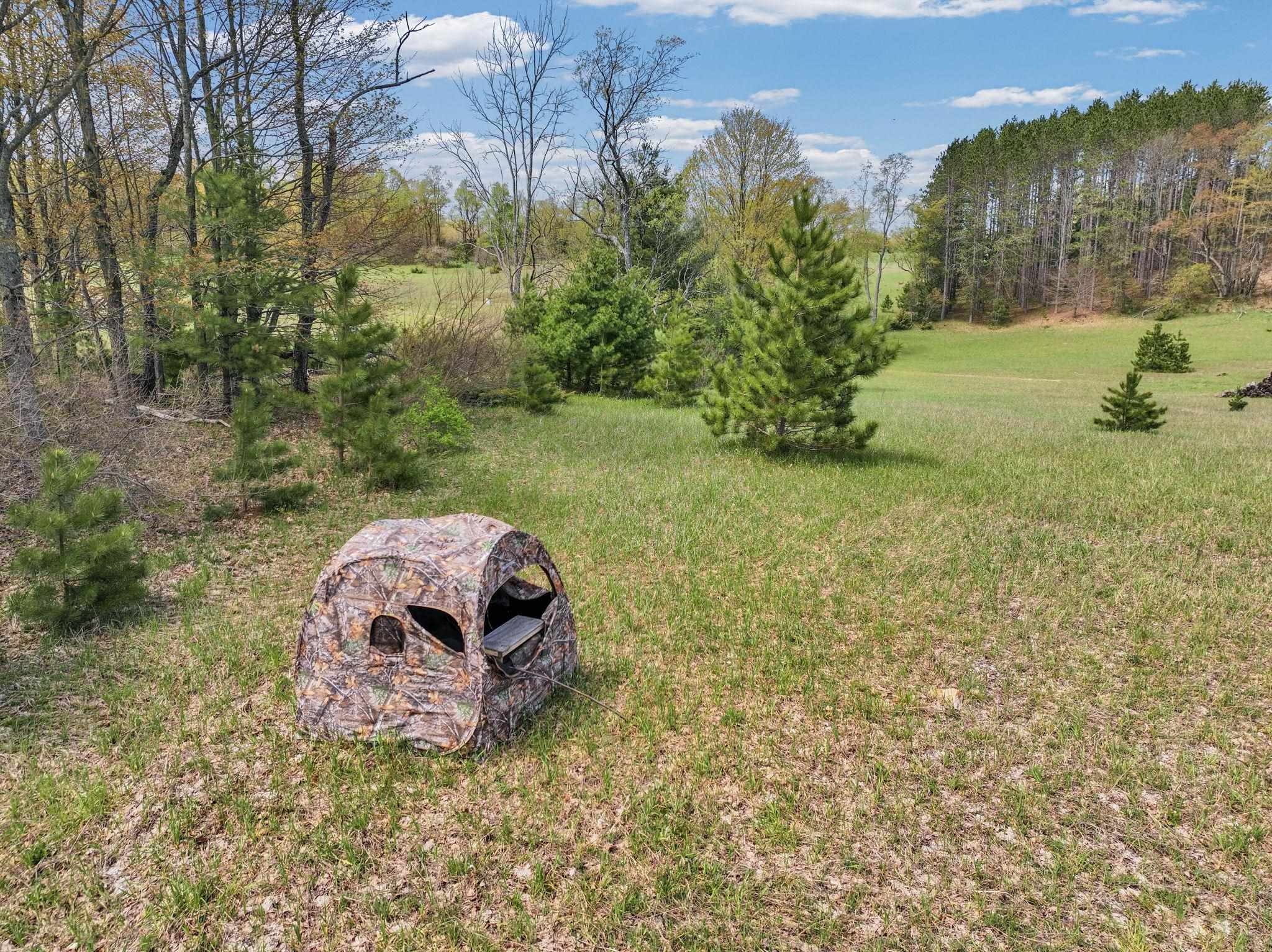 22386 16 Mile Road Leroy, MI 49655 - Photo 51 of 63