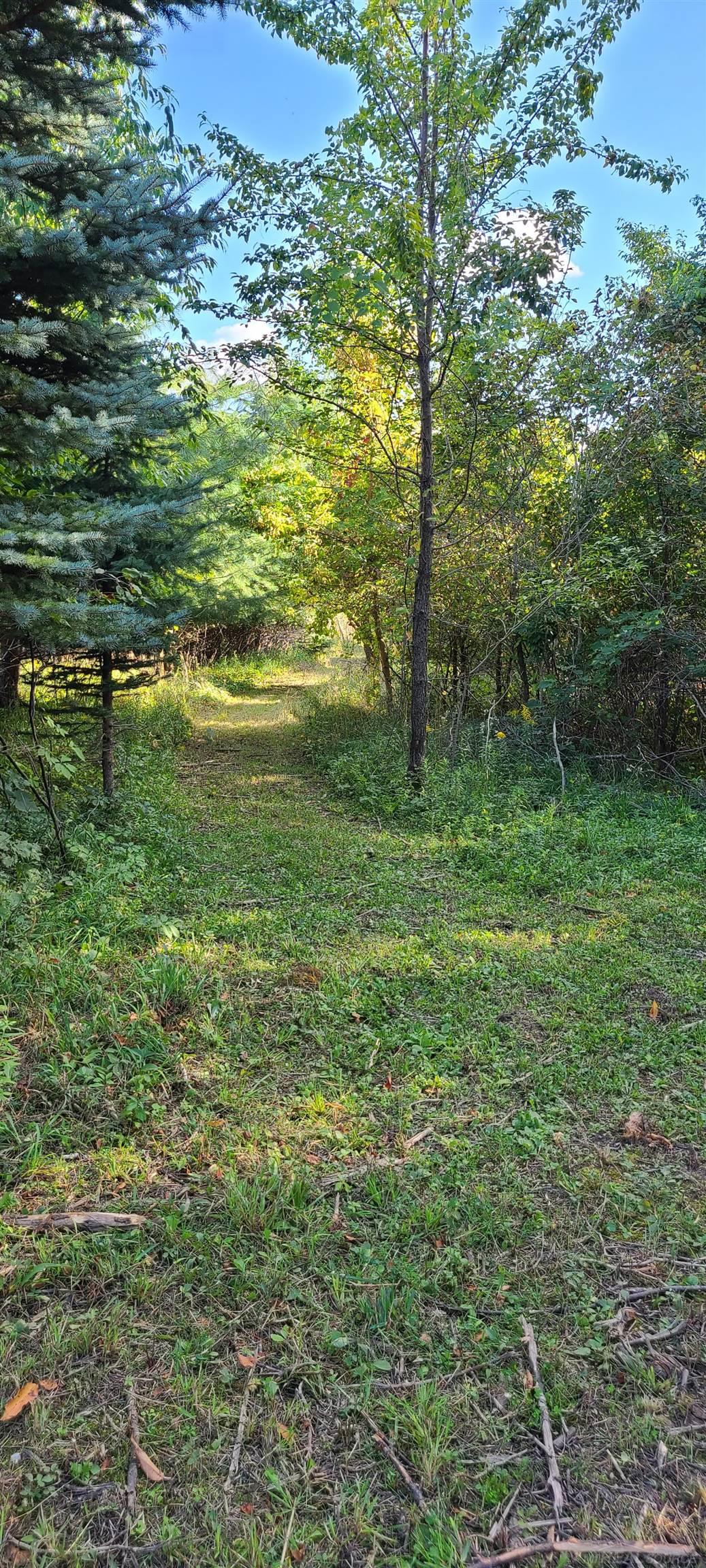 Vl Babcock Road Lexington, MI 48450 - Photo 4 of 14