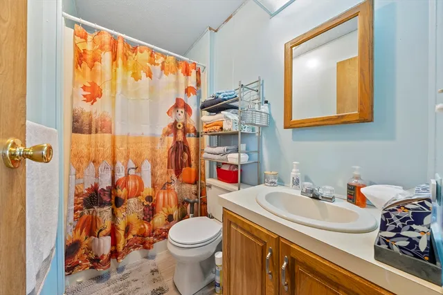 a bathroom with a sink a toilet and shower curtain