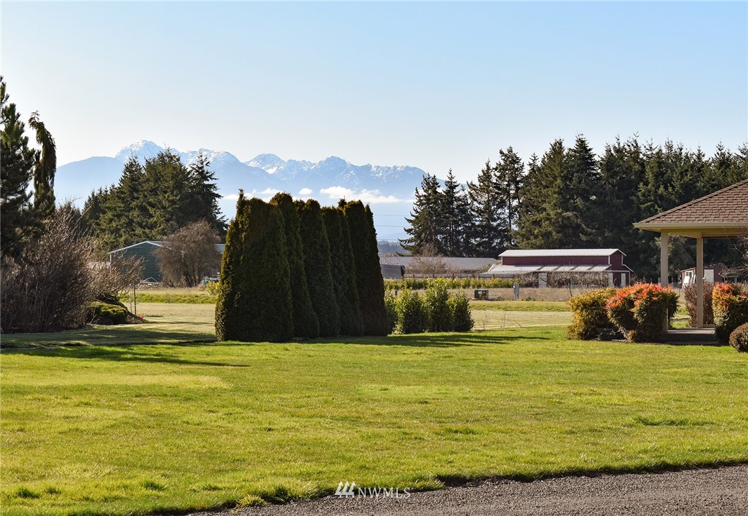 247 Jake Way Sequim, WA 98382 - Photo 38 of 40 a view of swimming pool with lawn chairs and large trees