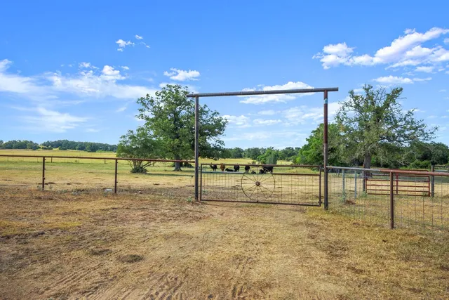 a view of a bench in a yard