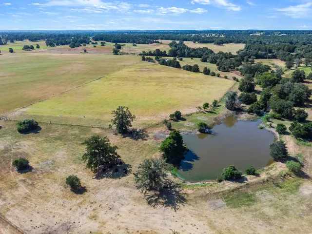 $915,000 | 1099 Private Road 1061, Paige, TX 78659