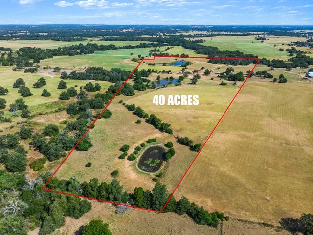 $915,000 | 1099 Private Road 1061, Paige, TX 78659