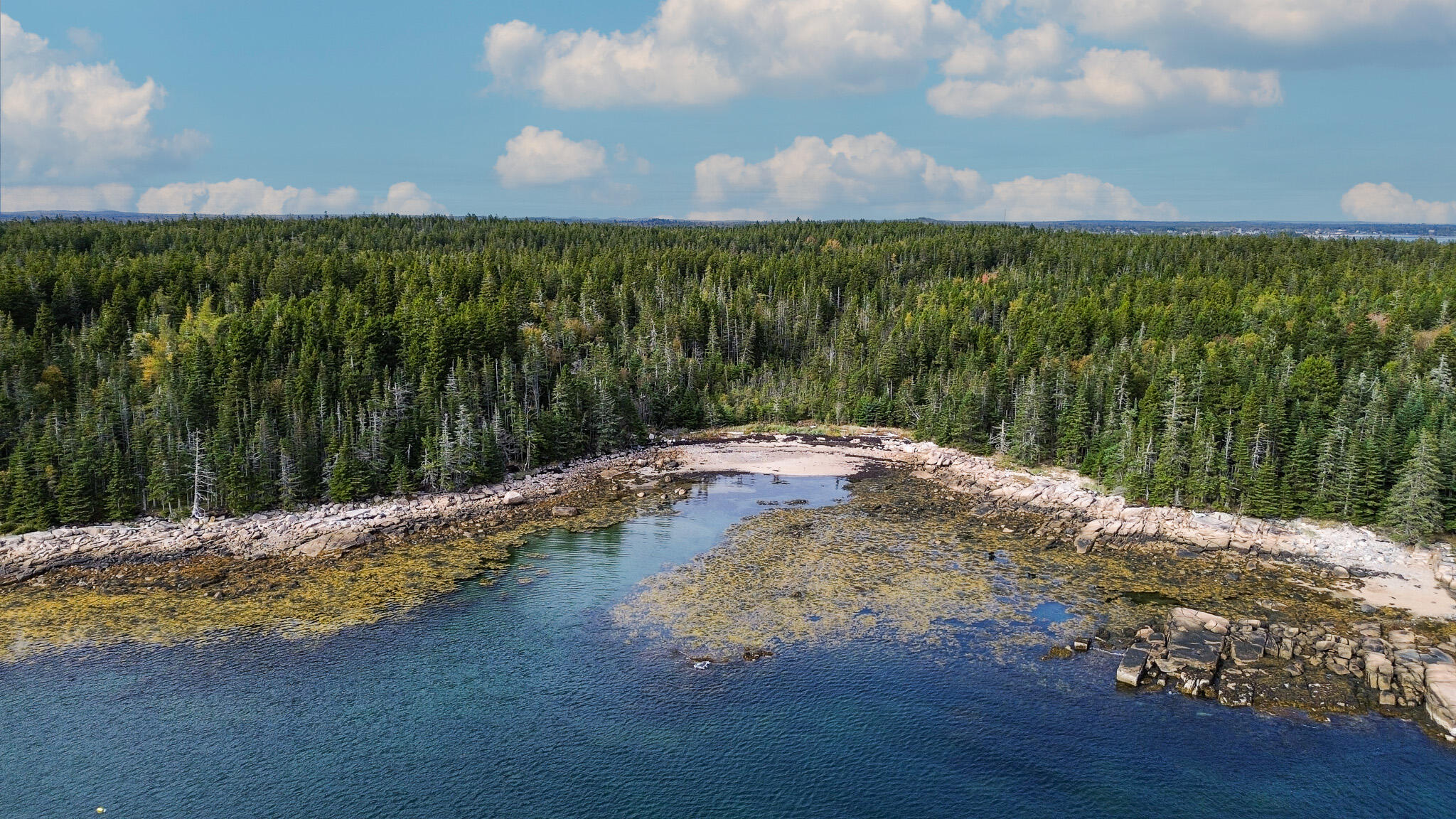 Lot 2 Seaduck Road Beals, ME 04611 - Photo 17 of 28