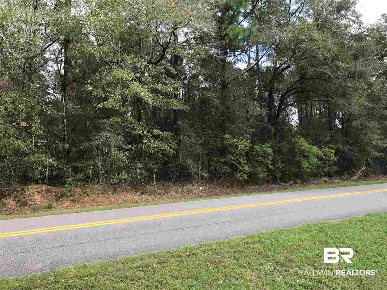 0 Howells Ferry Road Wilmer, AL 36587 - Photo 5 of 6