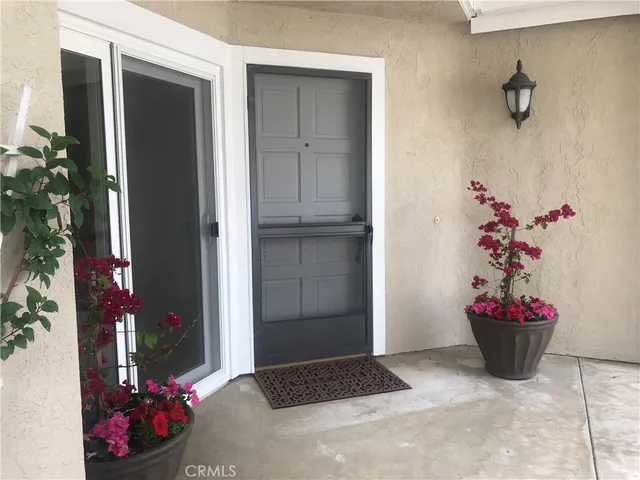 a potted plant sitting in front of a house