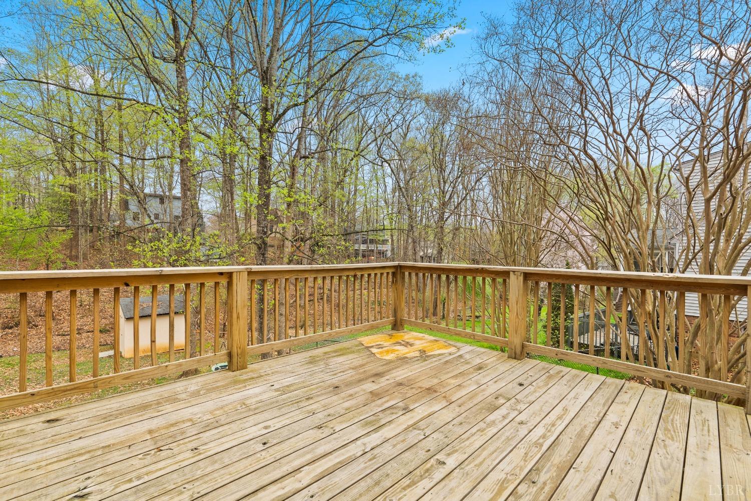 111 Declaration Terrace Forest, VA 24551 - Photo 16 of 44