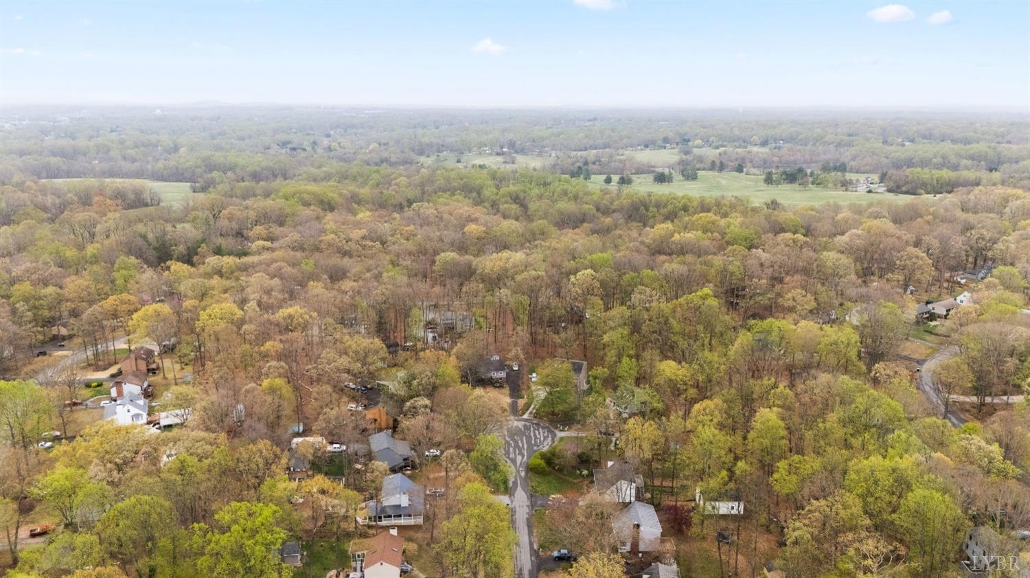 111 Declaration Terrace Forest, VA 24551 - Photo 5 of 44