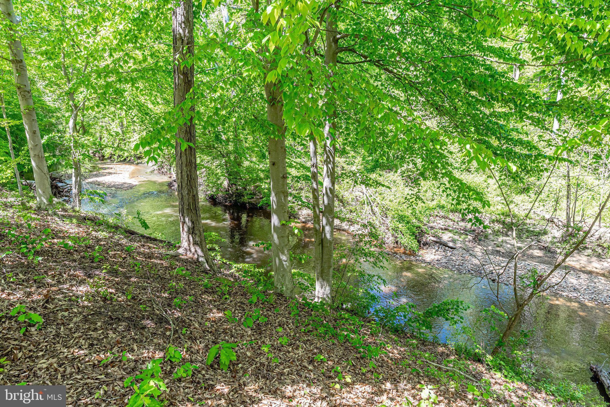 7802 Creekside View Lane Springfield, VA 22153 - Photo 103 of 107 a view of a garden