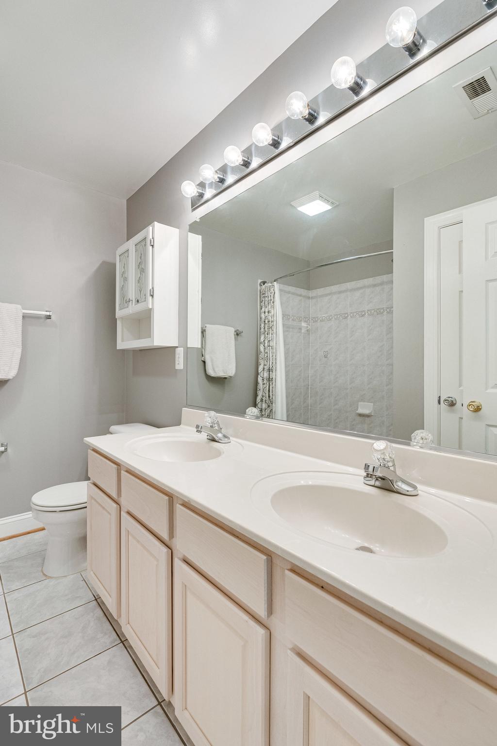 7802 Creekside View Lane Springfield, VA 22153 - Photo 68 of 107 a bathroom with a sink a toilet and a mirror