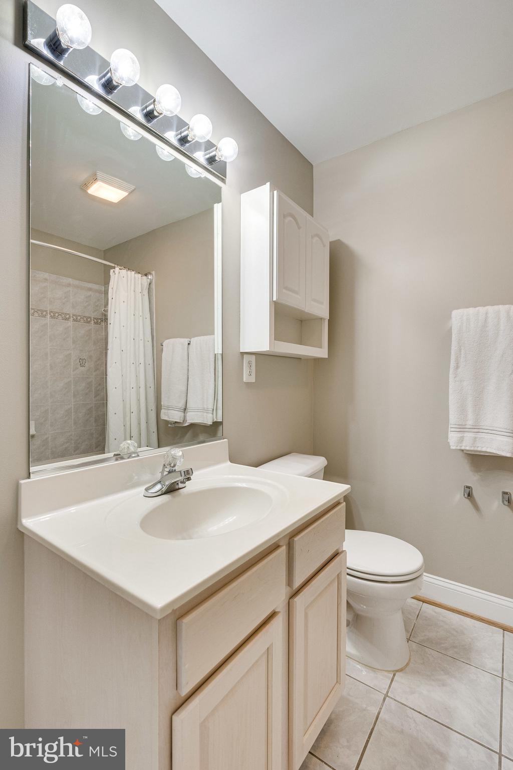 7802 Creekside View Lane Springfield, VA 22153 - Photo 76 of 107 a bathroom with a sink toilet and a mirror