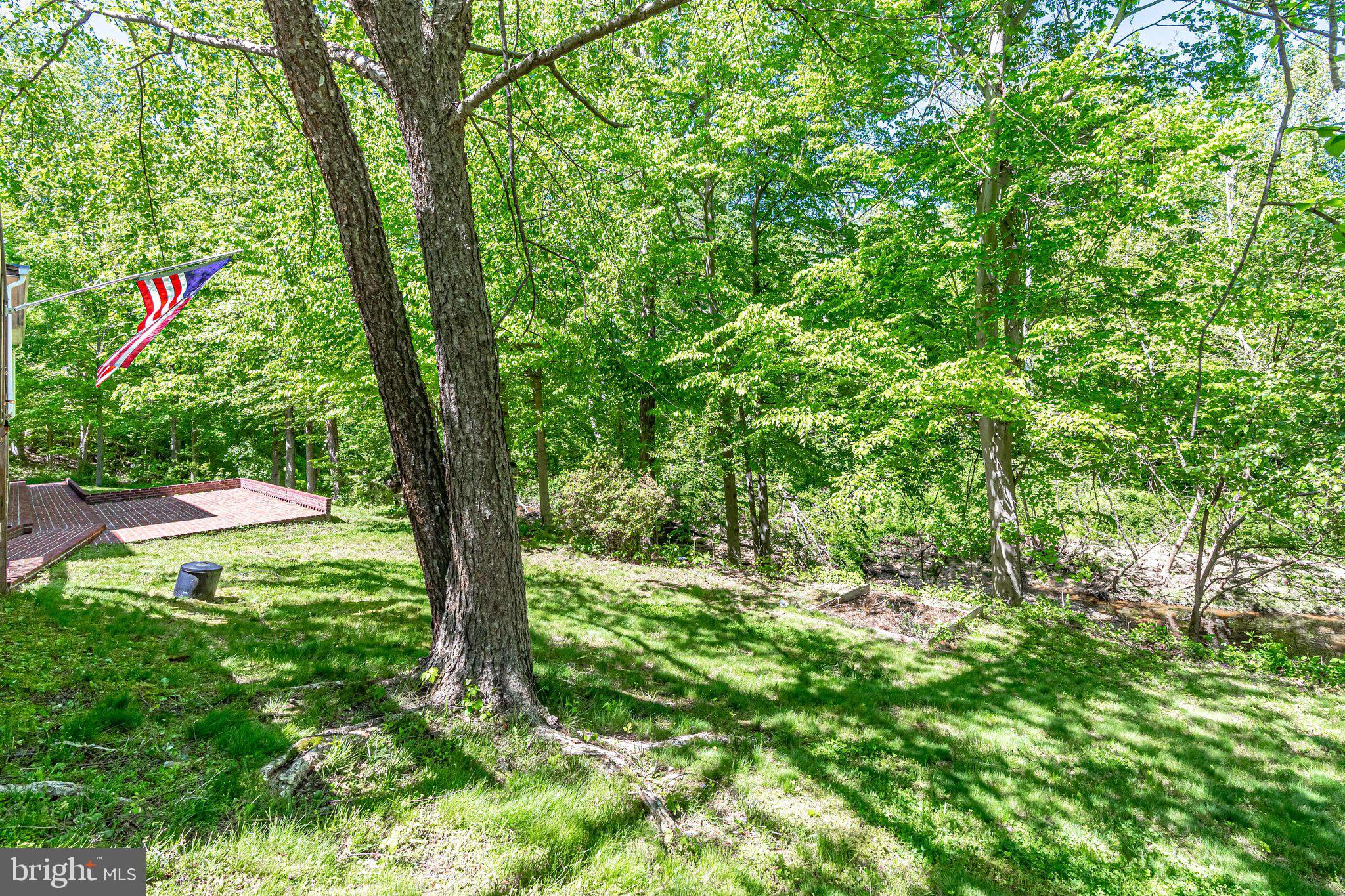 7802 Creekside View Lane Springfield, VA 22153 - Photo 99 of 107 a backyard of a house with lots of green space and a fountain