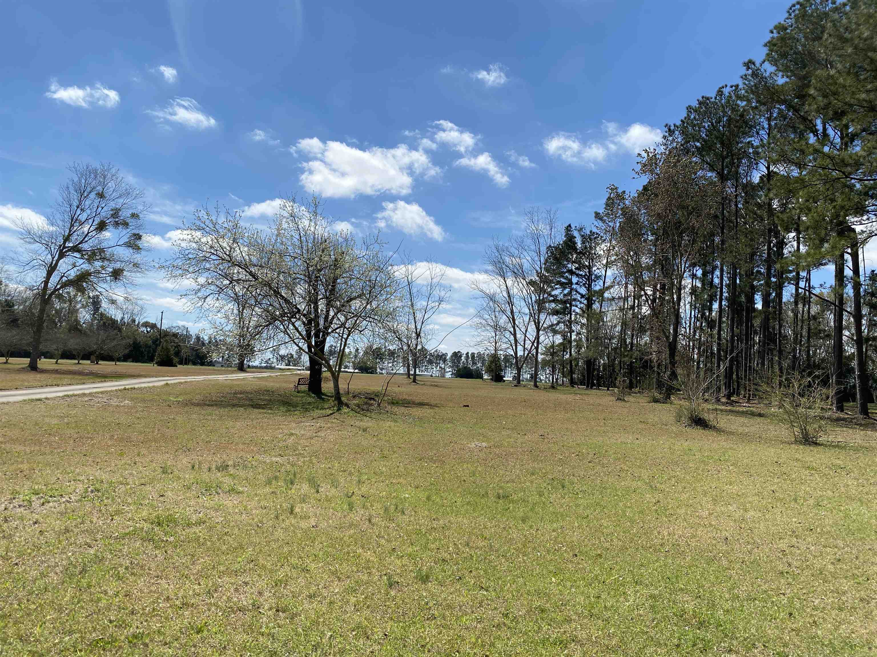 20185 Adams Acres Road Robertsdale, AL 36567 - Photo 11 of 49