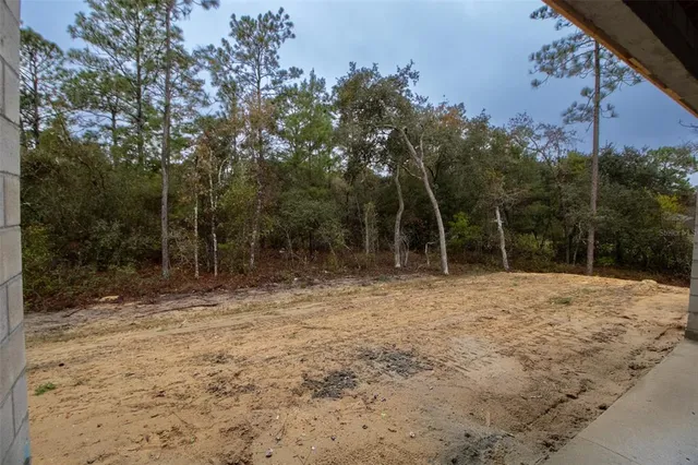 a view of outdoor space with deck and tree