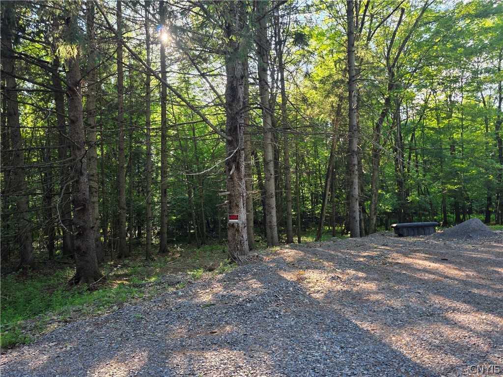 344 Brown Road Frankfort, NY 13340 - Photo 30 of 38