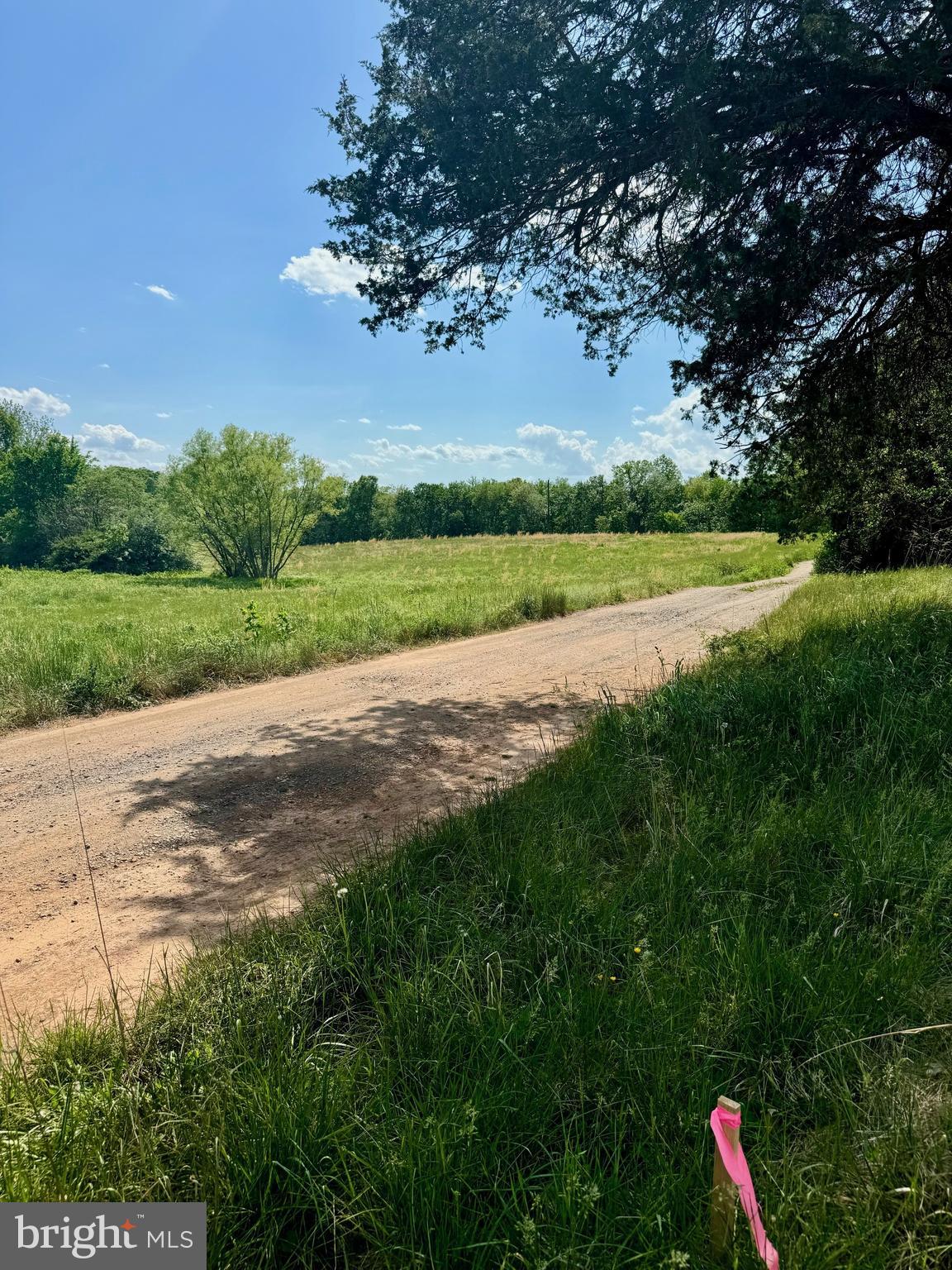 Rixeyville Road Culpeper, VA 22701 - Photo 2 of 10 a view of street with green space