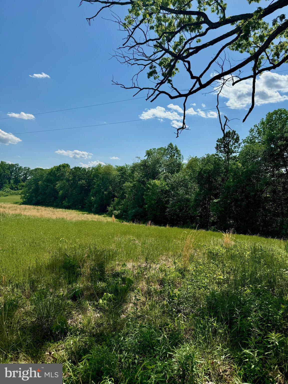 Rixeyville Road Culpeper, VA 22701 - Photo 3 of 10 a view of a yard with plants and a bench