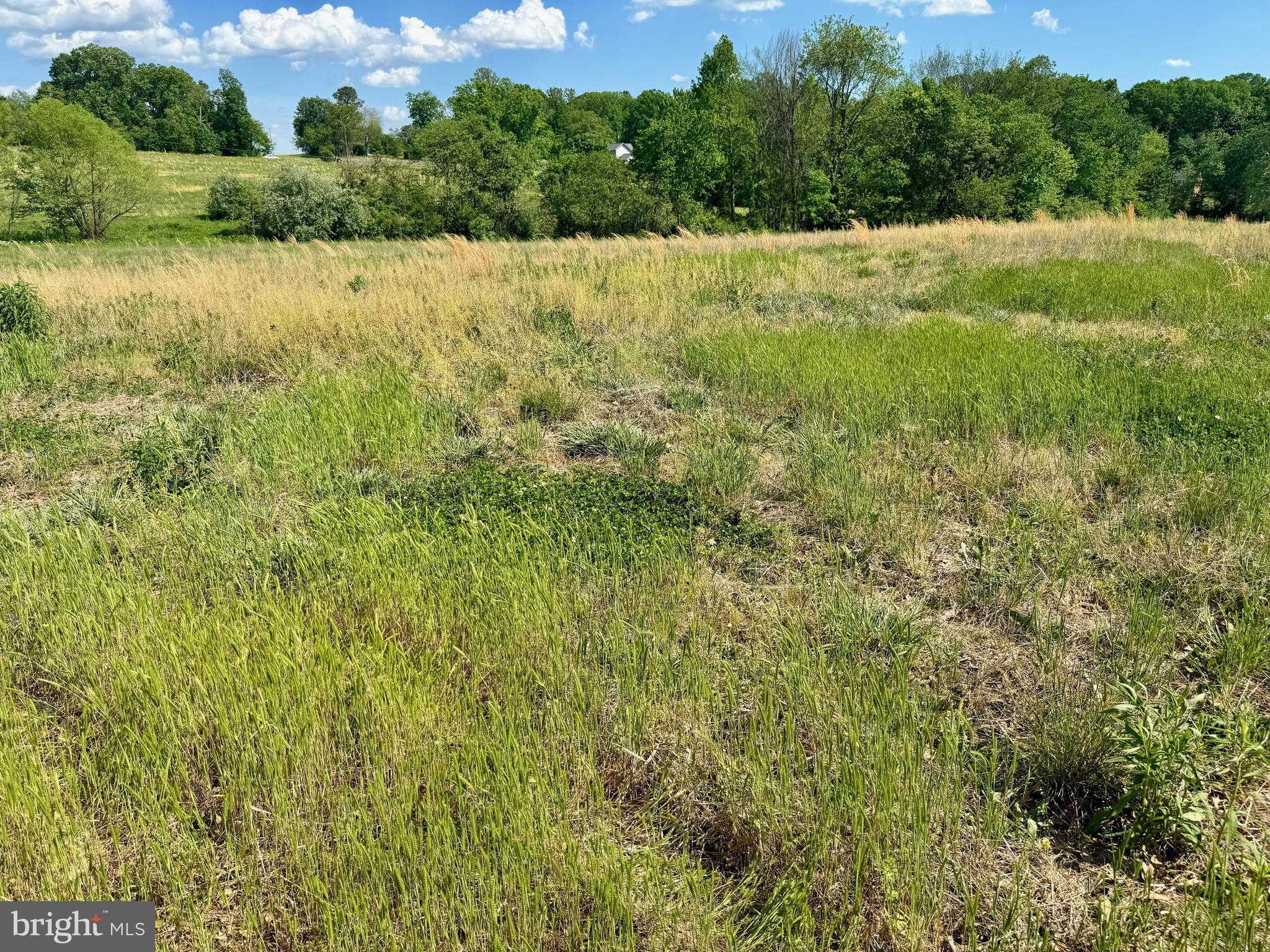 Rixeyville Road Culpeper, VA 22701 - Photo 5 of 10 a view of an outdoor space and a yard