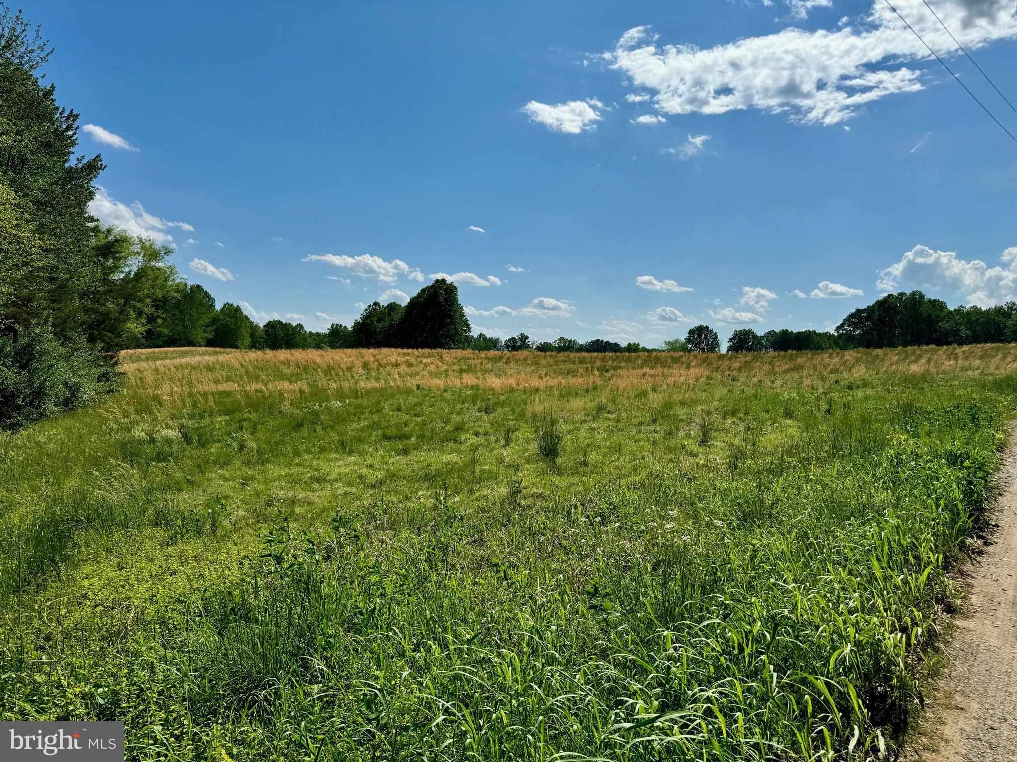 Rixeyville Road Culpeper, VA 22701 - Photo 6 of 10 a view of a big yard with lots of green space and mountain view