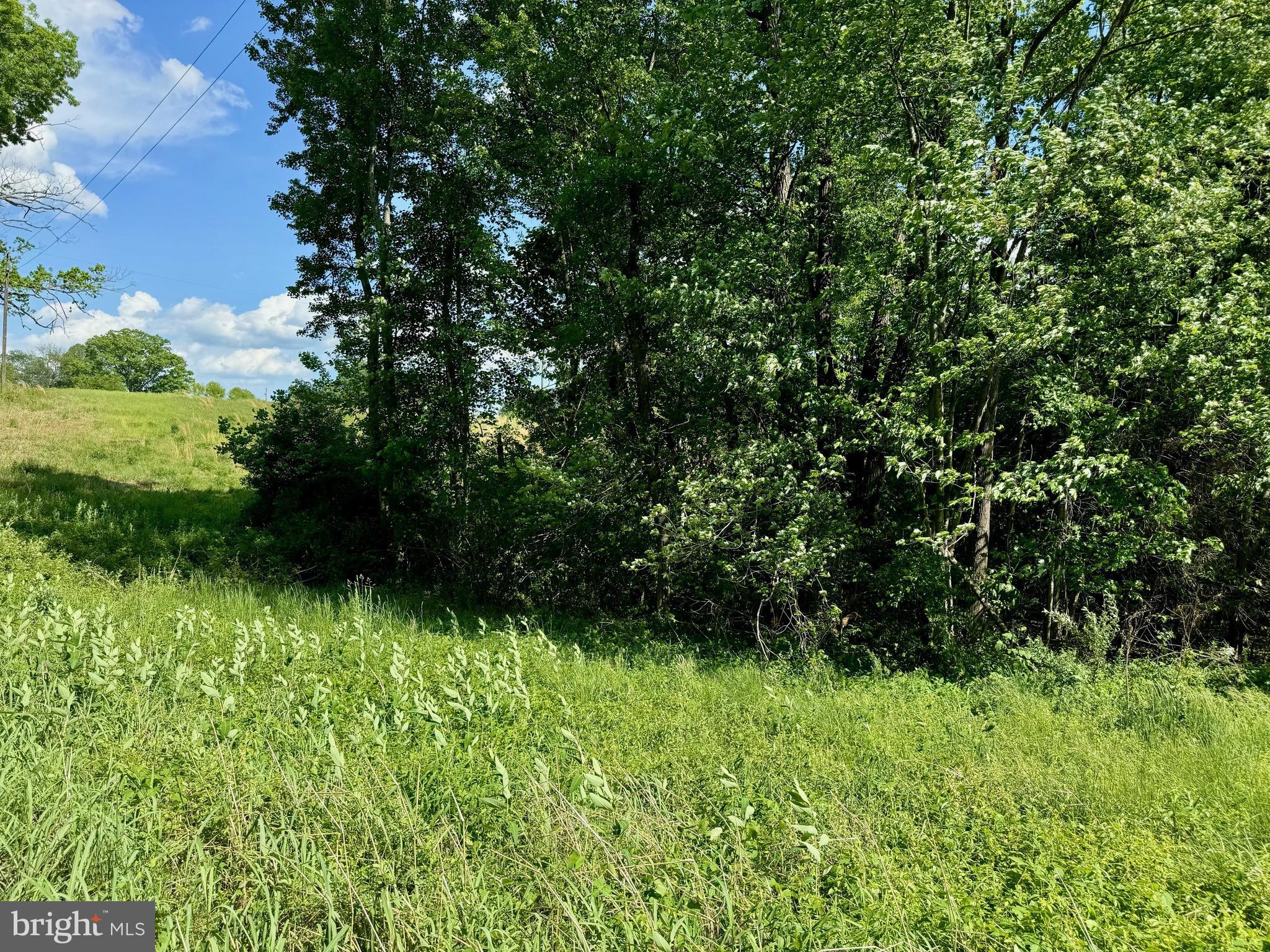 Rixeyville Road Culpeper, VA 22701 - Photo 7 of 10 a view of a garden