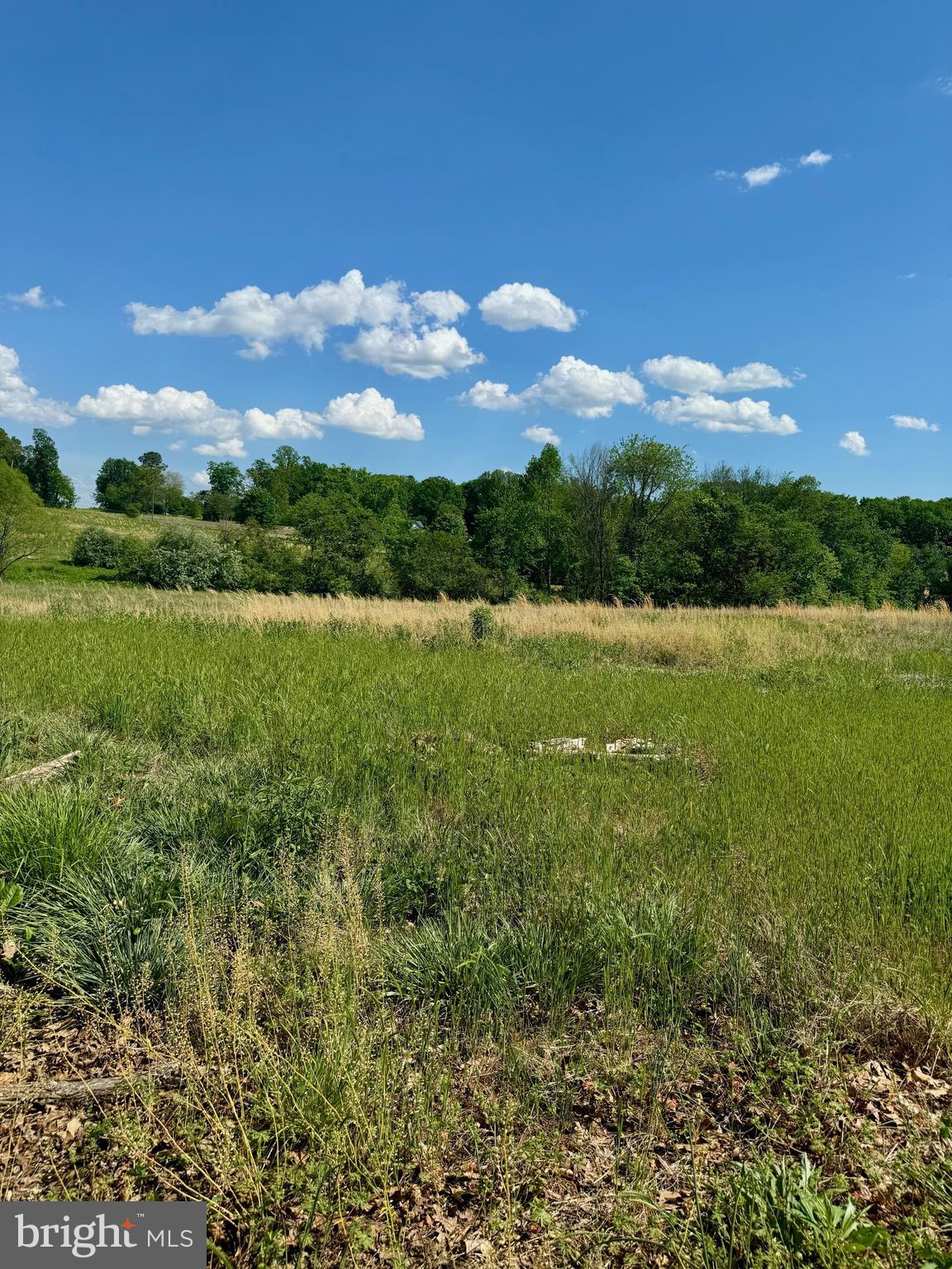 Rixeyville Road Culpeper, VA 22701 - Photo 10 of 10 a view of an ocean and a mountain