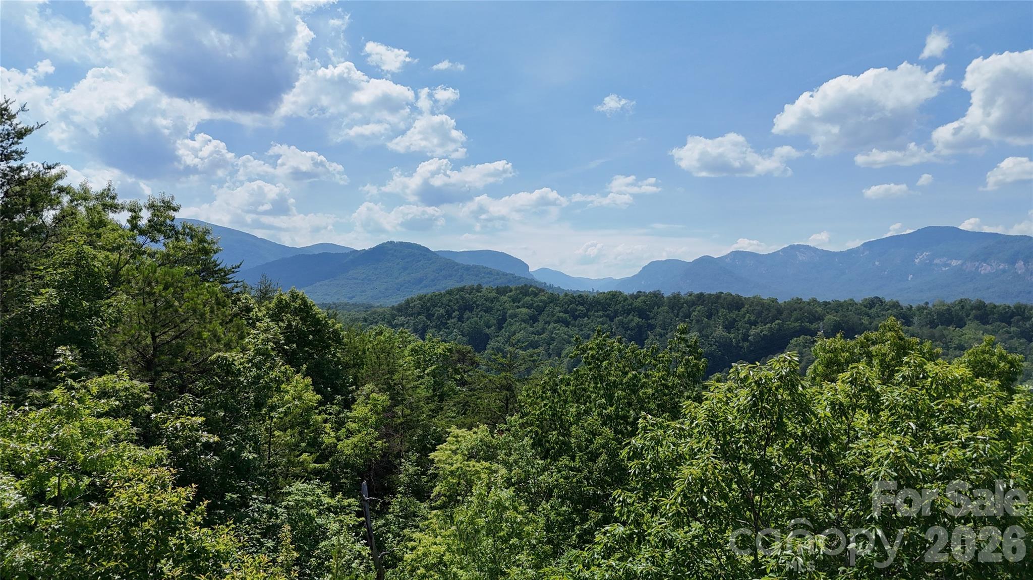 590 Boulder Ridge Lake Lure, NC 28746 - Photo 14 of 18
