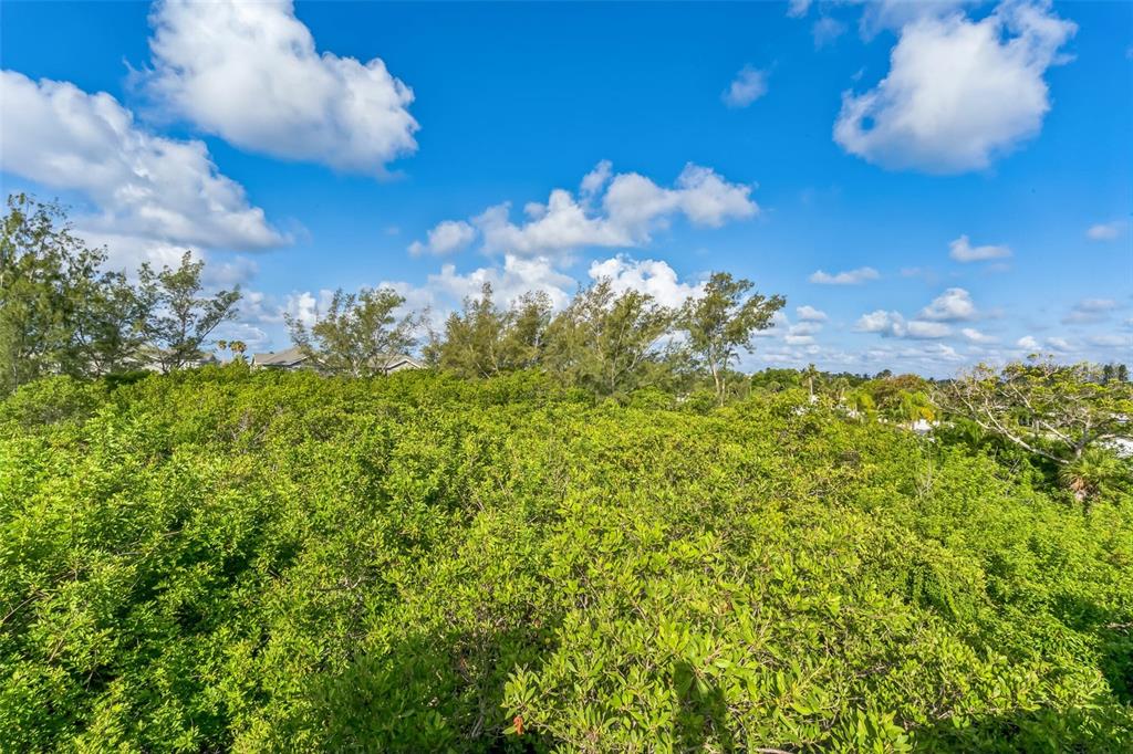 619 Cedars Court Longboat Key, FL 34228 - Photo 50 of 95