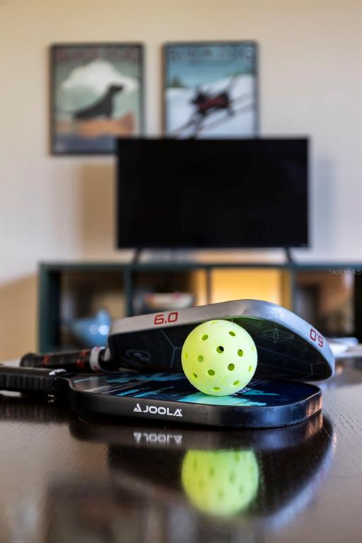 619 Cedars Court Longboat Key, FL 34228 - Photo 86 of 95