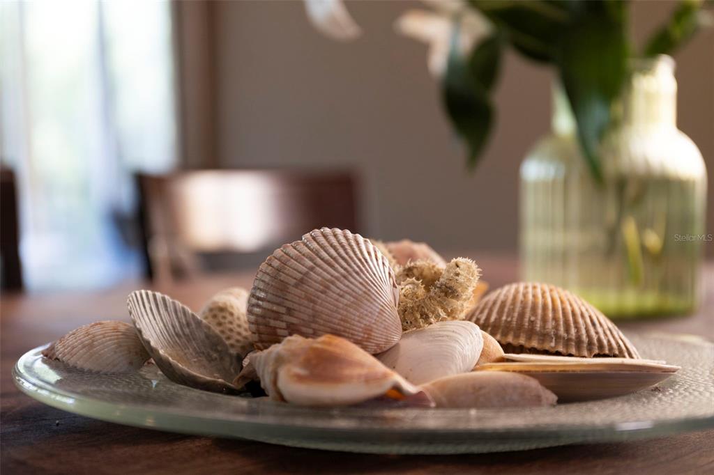 619 Cedars Court Longboat Key, FL 34228 - Photo 90 of 95