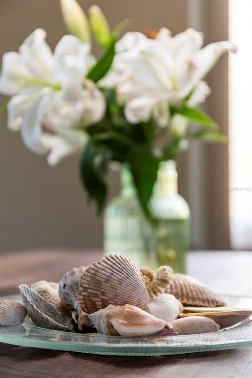 619 Cedars Court Longboat Key, FL 34228 - Photo 91 of 95