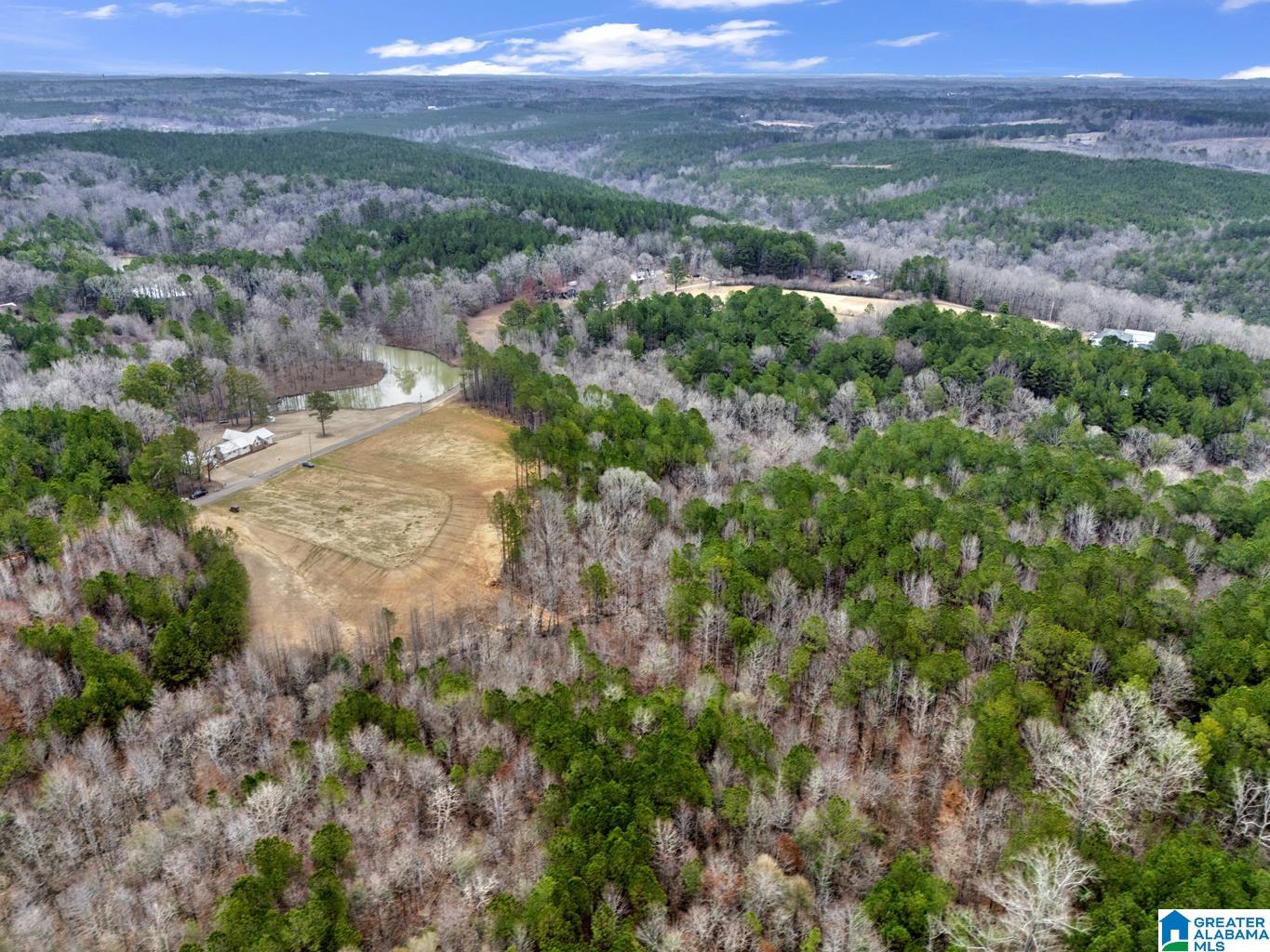 335 Clayton Road Jasper, AL 35504 - Photo 56 of 65 Gallery Image 56