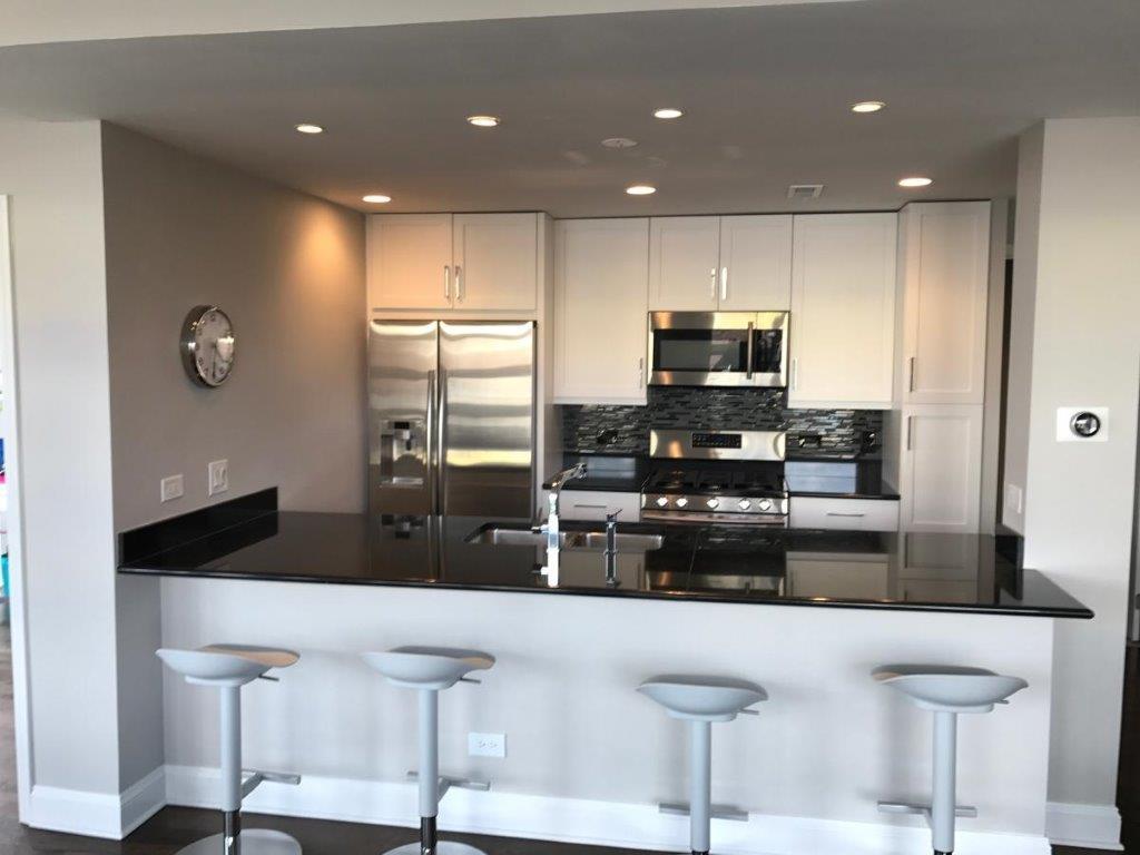 1141 West Washington Boulevard, Unit 245 Chicago, IL 60607 - Photo 3 of 22