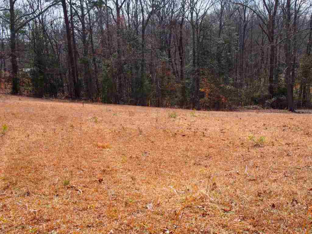 308 Turk Road Townville, SC 29689 - Photo 3 of 4 Gallery Image 3