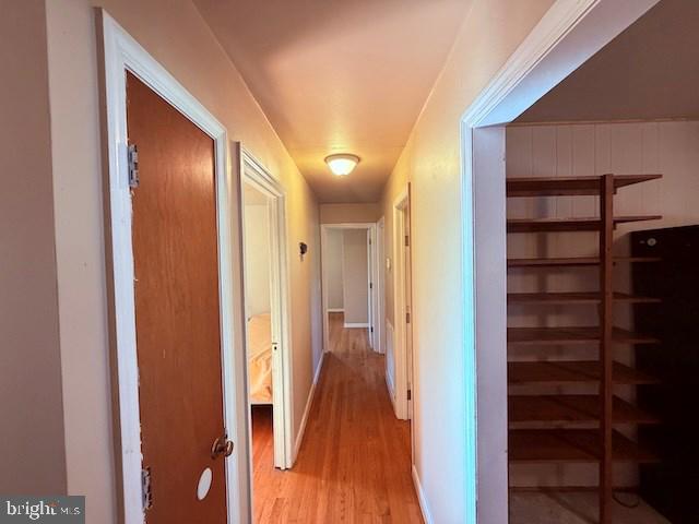 1114 Skipwith Road Boydton, VA 23917 - Photo 25 of 38