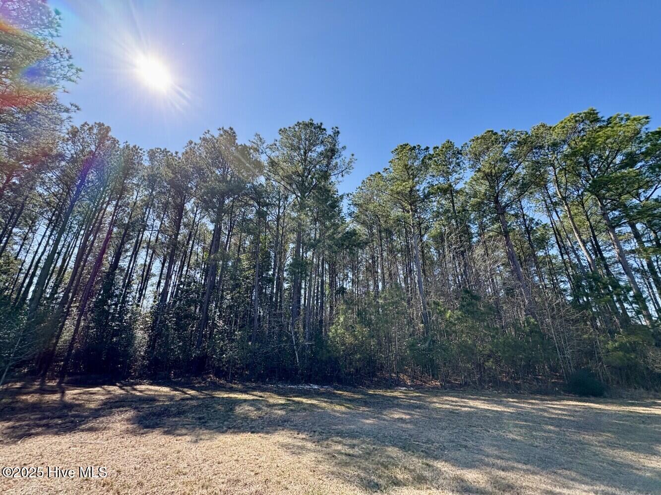 6494 River Road Vanceboro, NC 28586 - Photo 24 of 46 6824a001a80d8