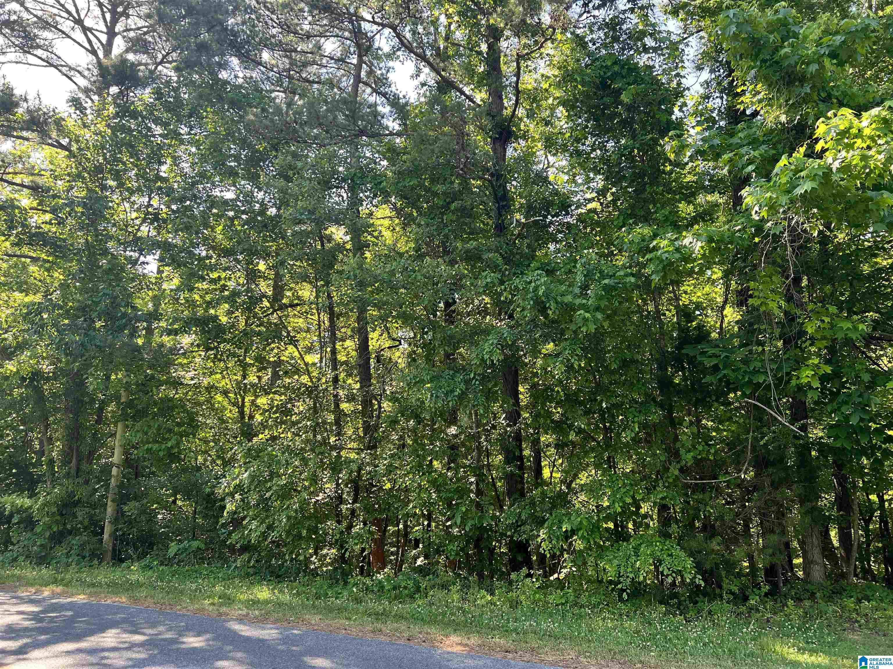 16 Brickyard Road, Unit 1 Sylacauga, AL 35150 - Photo 1 of 3