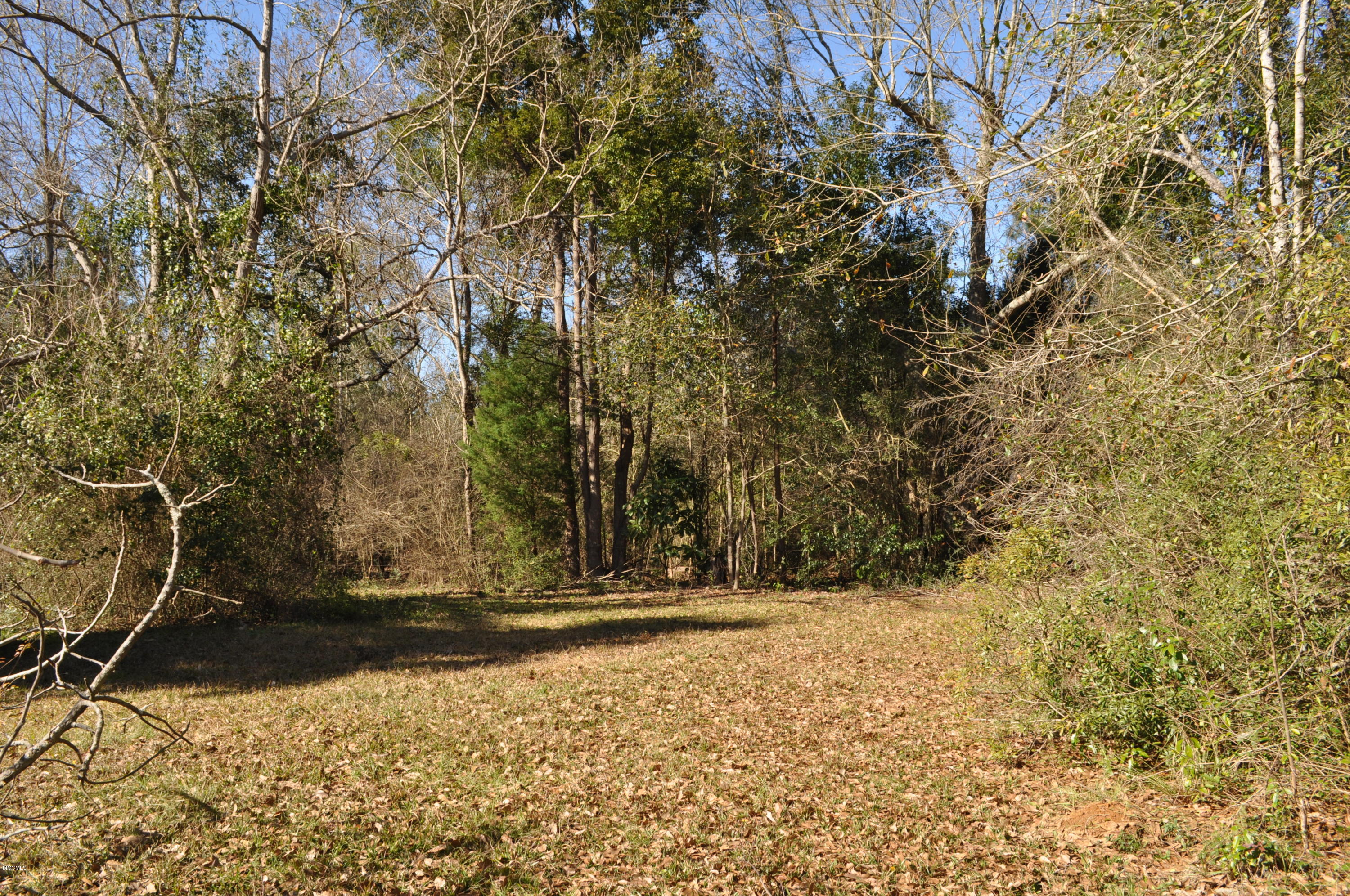 26264 Walnut Road Pass Christian, MS 39571 - Photo 24 of 26 backyard