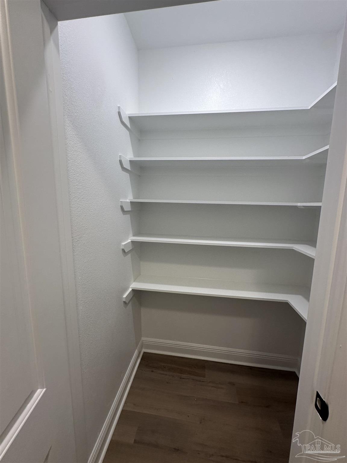4753 Sago Palm Circle Pace, FL 32571 - Photo 21 of 24 a view of walk in closet with empty racks