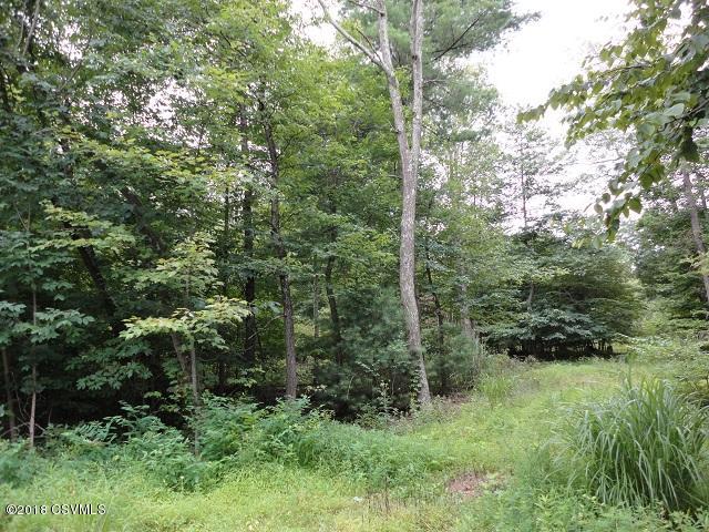 Lot 9-9a East High Street McClure, PA 17841 - Photo 2 of 5
