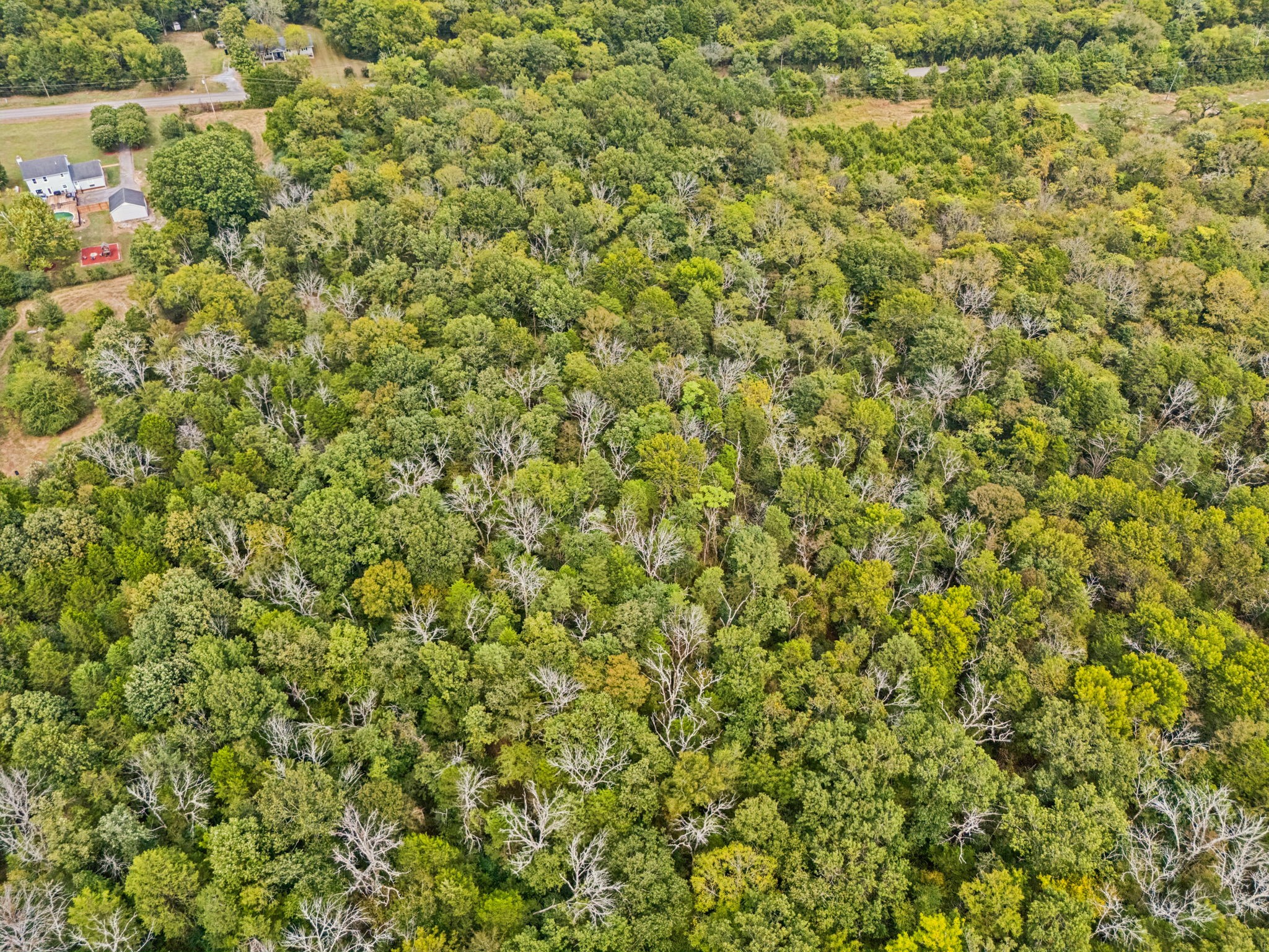 4011 Central Valley Road Murfreesboro, TN 37129 - Photo 79 of 93