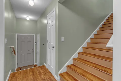 a view of a forest with a street