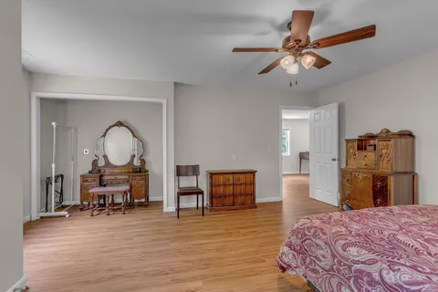 a view of a forest with a street