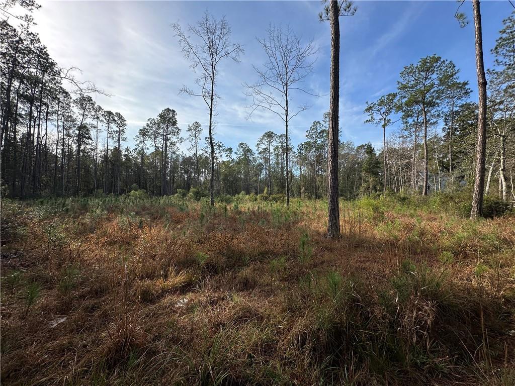 22116 Nolan Road Covington, LA 70435 - Photo 2 of 8 Gallery Image 2