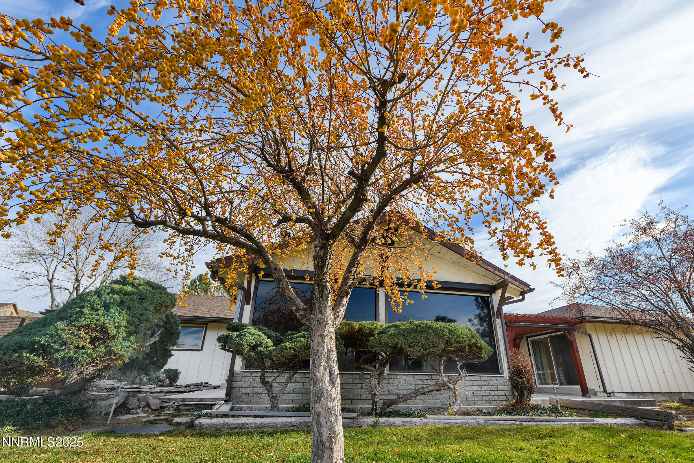 14535 Seminole Trail Reno, NV 89521 - Photo 21 of 25 front view of house with a yard