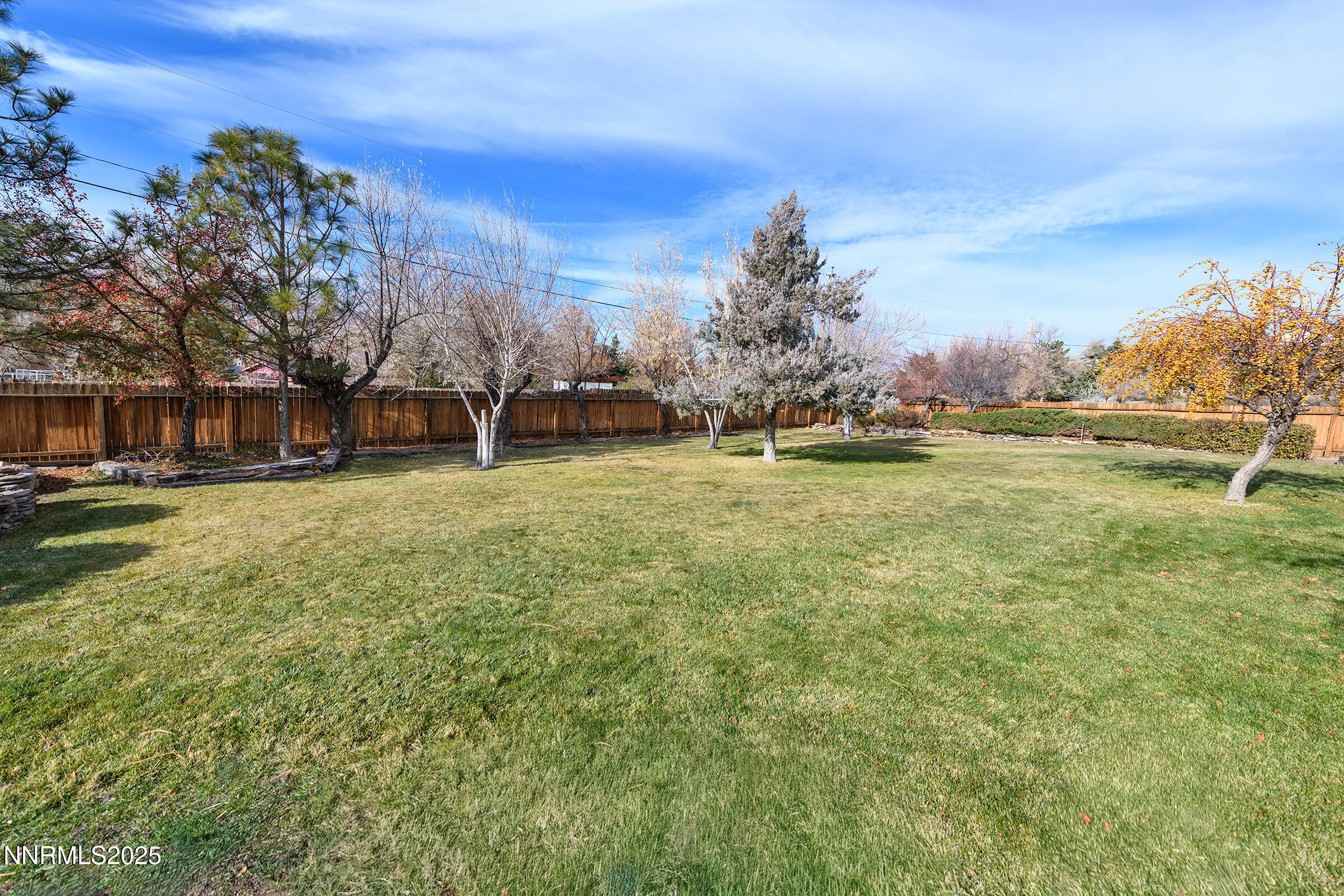 14535 Seminole Trail Reno, NV 89521 - Photo 24 of 25 a view of a field with a tree in the background