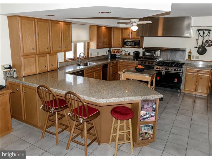 5835 Upper Mountain Road New Hope, PA 18938 - Photo 3 of 25 Kitchen
