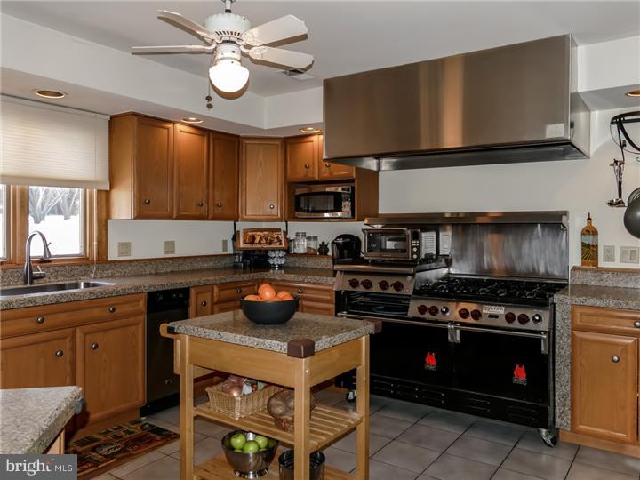 5835 Upper Mountain Road New Hope, PA 18938 - Photo 4 of 25 Kitchen