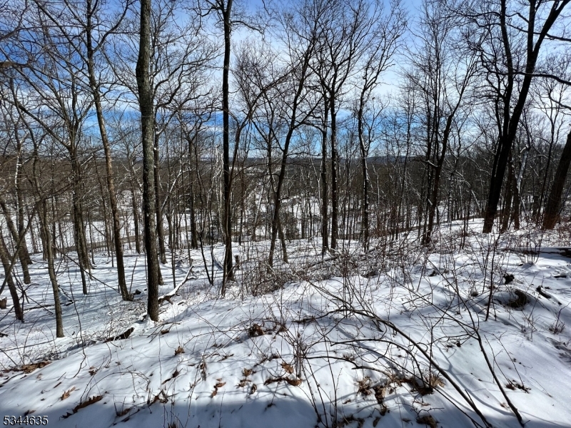 76 Monroe Road Lafayette, NJ 07848 - Photo 12 of 14